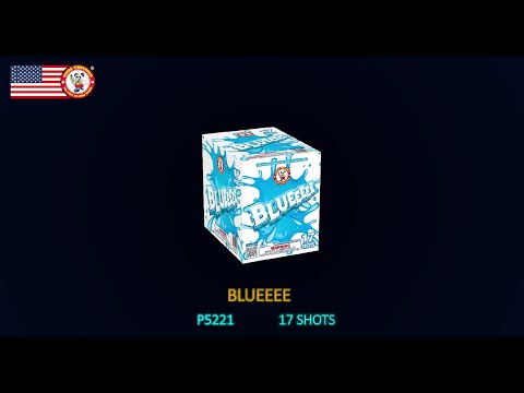 BLUEEEE 17'S